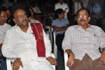 Writer Movie Audio Launch - 16 of 74