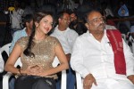 Writer Movie Audio Launch - 37 of 74