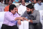 Yamaleela 2 Movie Platinum Disc Function 01 - 76 of 134