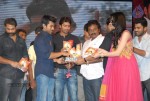 Yamudiki Mogudu Movie Audio Launch - 31 of 139