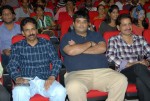 Yamudiki Mogudu Movie Audio Launch - 94 of 139