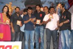 Yamudiki Mogudu Movie Audio Launch - 134 of 139
