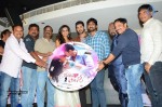 Yavvanam Oka Fantasy Audio Launch - 2 of 60