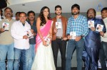 Yavvanam Oka Fantasy Audio Launch - 16 of 60