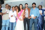 Yavvanam Oka Fantasy Audio Launch - 17 of 60