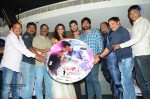 Yavvanam Oka Fantasy Audio Launch - 20 of 60