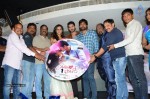 Yavvanam Oka Fantasy Audio Launch - 25 of 60