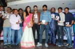 Yavvanam Oka Fantasy Audio Launch - 29 of 60