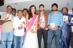 Yavvanam Oka Fantasy Audio Launch - 38 of 60