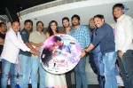Yavvanam Oka Fantasy Audio Launch - 43 of 60