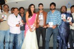 Yavvanam Oka Fantasy Audio Launch - 50 of 60