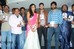 Yavvanam Oka Fantasy Audio Launch - 58 of 60