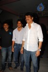 Ye Maaya Chesave Movie Success Meet - 41 of 97