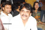 Ye Maaya Chesave Movie Success Meet - 85 of 97