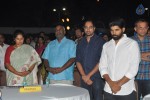 Yevade Subramanyam Audio Launch 01 - 54 of 179