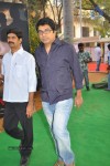 Yevadu Movie Opening  - 49 of 169