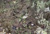 YSR Dead Body Photos - 22 of 23