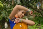 Zindagi Movie Working Stills - 42 of 81