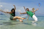 7 aam Arivu Movie Stills