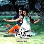 7th Sense Movie Wallpapers