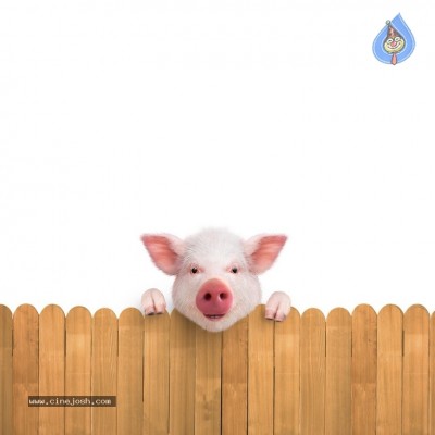 Adhugo Movie First Look Posters And Stills