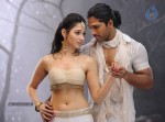 Badrinath Movie Stills