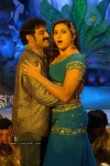 Balakrishna's Simha Movie New Gallery (Xclusive CineJosh)