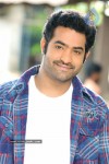 Brindavanam Movie Stills