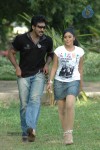 Chelagatam Movie Stills Gallery