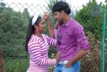 Chilipi Allarilo Chinni Aasa Movie New Stills