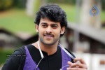 Darling Movie Latest Unseen Gallery