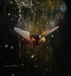 Eega Movie New Stills