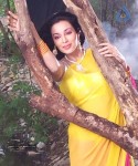 Flora Saini Stills in Akasamlo Sagam