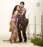 Love to Love New Photos