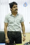 Nagarjuna New Movie Stills