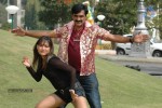 Narasimharaju Movie Stills