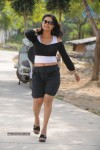 Navvula Sandadi Movie Stills