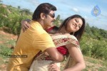Pandavulu Movie New Stills