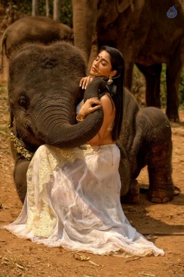 Regina Cassandra Stills In Nakshatram Movie