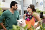 Romeo and Juliet Movie Stills