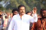 Rowdy Movie Pics