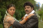 Sankranthi Alludu Movie New Stills