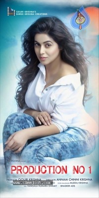 Shree Krishna Creation Production No1 Movie Posters