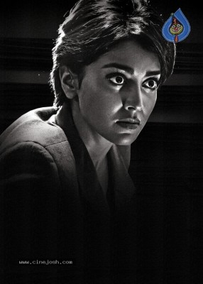 Shriya Saran First Look From Veera Bhoga Vasantha Rayalu