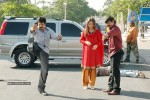 Simha Movie Stills