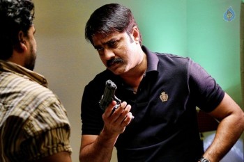 Terror Photos and Posters