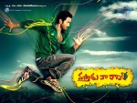 Vastadu Naa Raju Movie Latest Stills