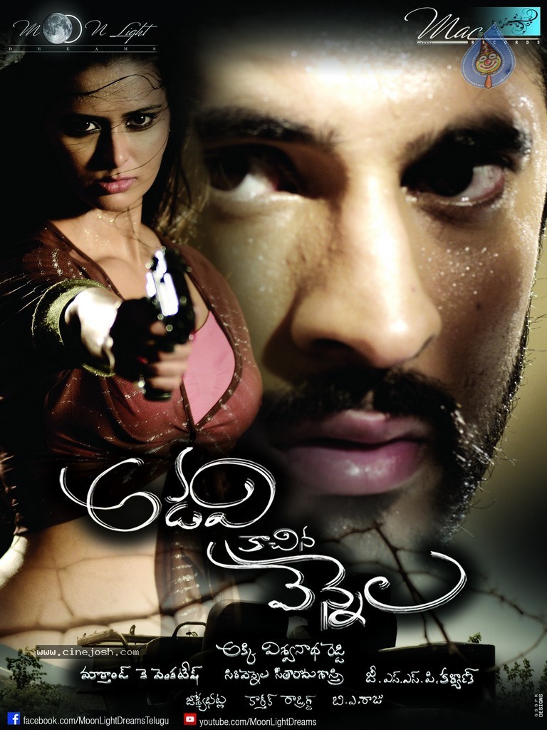 Adavi Kachina Vennela Posters  - 5 / 11 photos