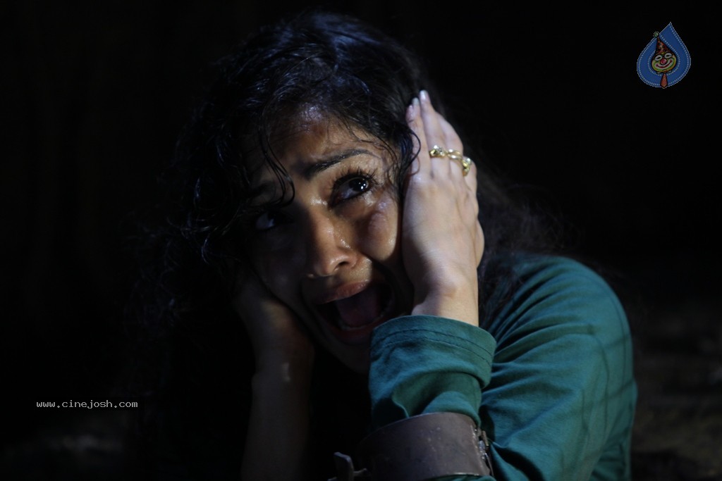 Aravind 2 Movie New Stills - 27 / 40 photos