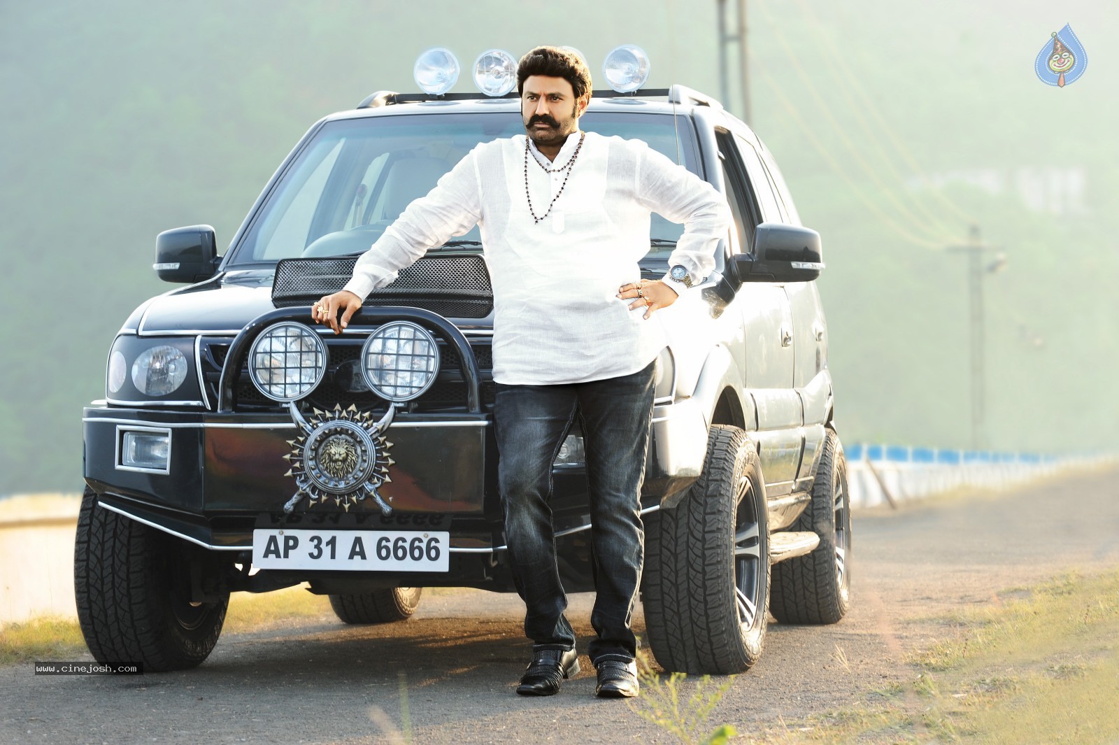 Balakrishna Legend Movie 1st Look - 2 / 3 photos